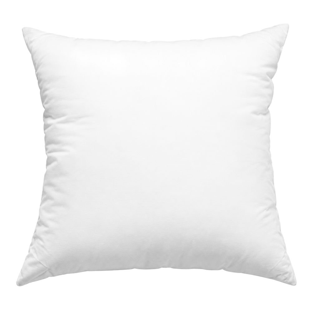 EDOW Down Alternative Pillow Inserts, 2-Pack