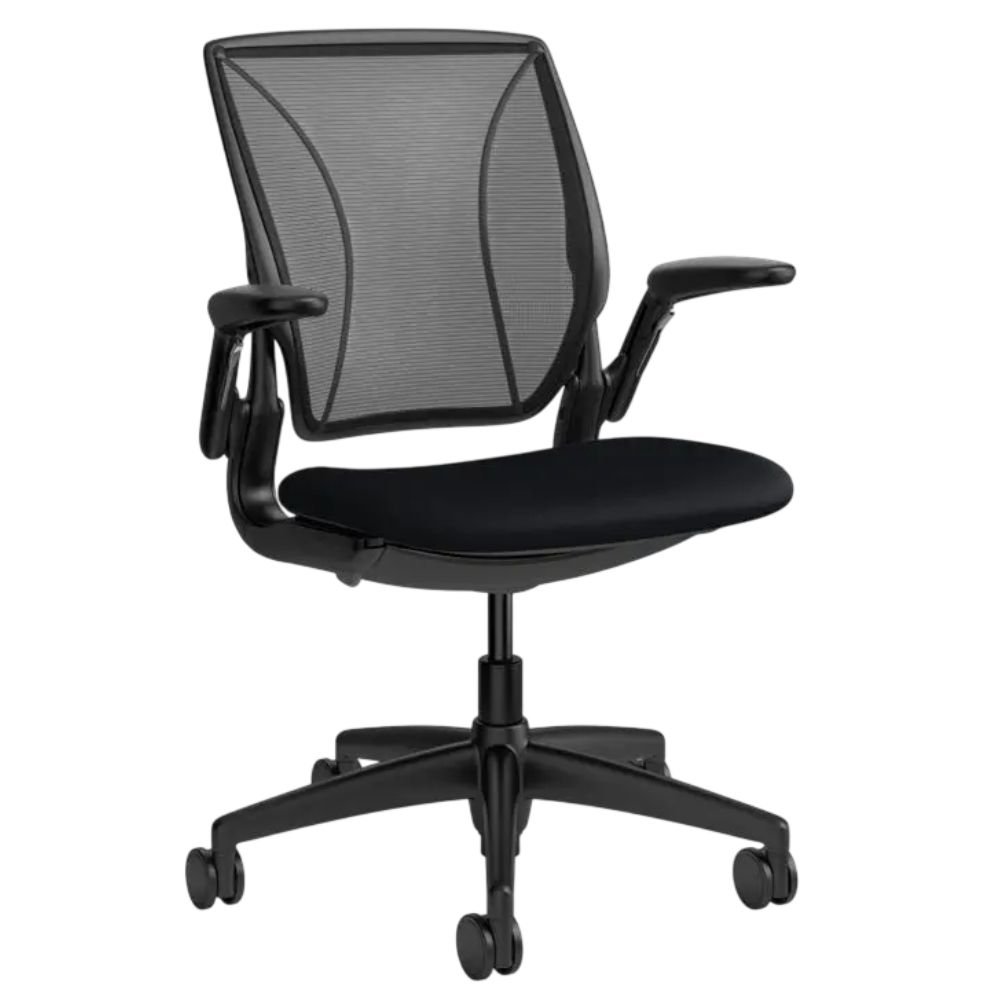 Humanscale Diffrient World Chair