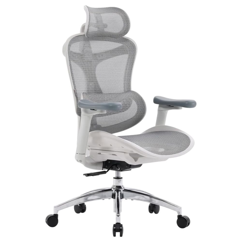 SIHOO Doro C300 Ergonomic Office Chair (Grey)