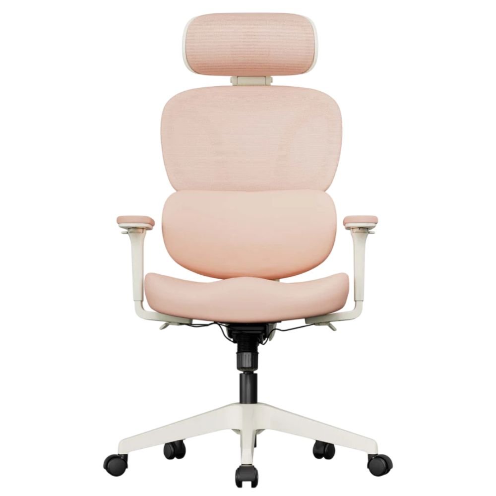 Welax S3 Pro Ergonomic Office Chair