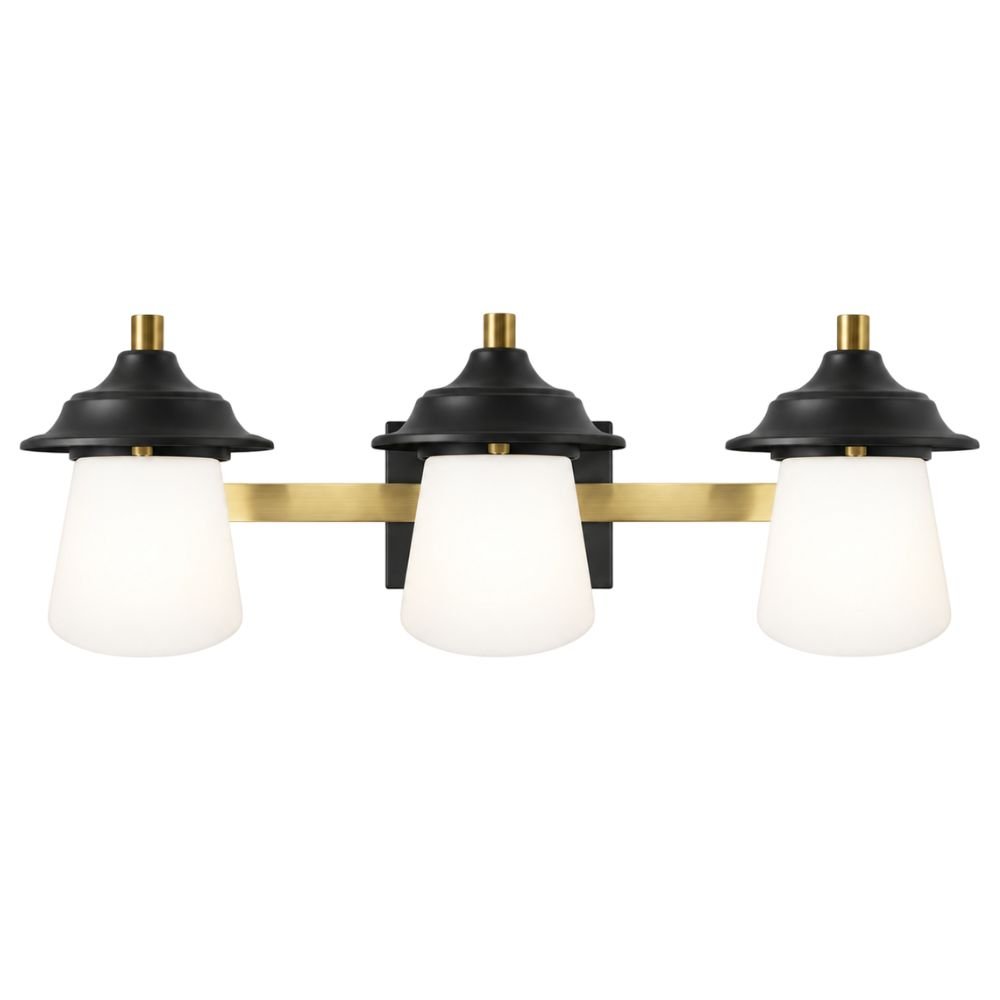 ExBrite Farmhouse LED Vanity Light