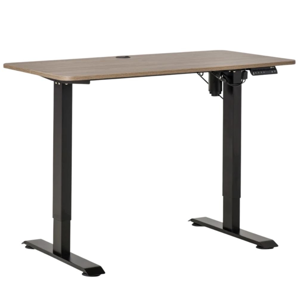 Vinsetto Electric Standing Desk With Memory Buttons
